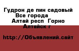 Гудрон де пин садовый - Все города  »    . Алтай респ.,Горно-Алтайск г.